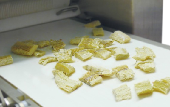 MAJA ESB 4434 SH circular blade cutter for simple portioning of salted cod products