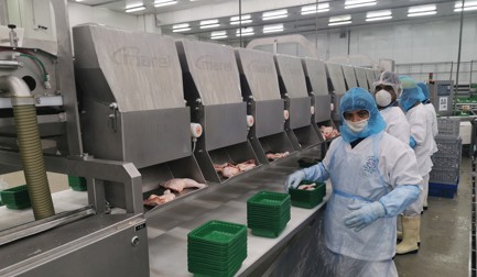 La plus haute qualité est la clé pour Arasco