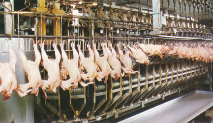 Innovationen bei der Bratfertigung beginnen bei Stork/Marel