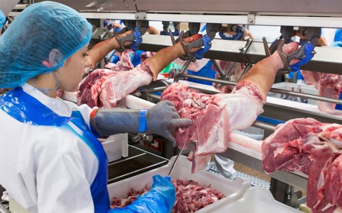 Setting benchmarks in the meat processing industry