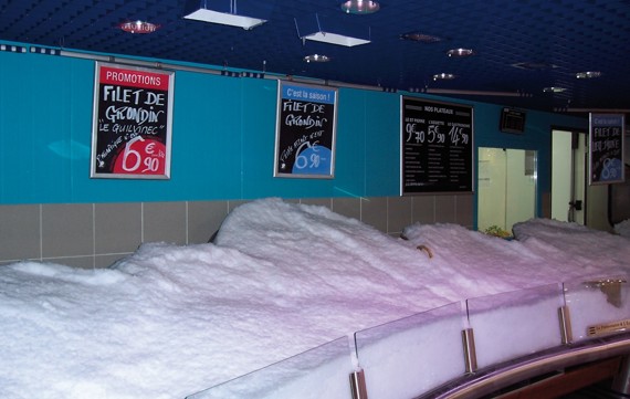Fish display with MAJA flake ice