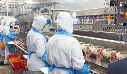 Europa Cuisson confirme le succès du filetage de poitrine adaptatif