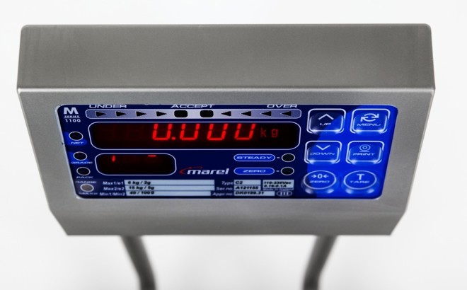 Marel M1100 Floor scale for industrial weighing