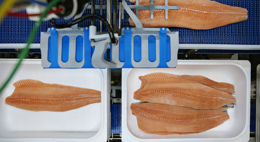 RoboBatcher Box packing salmon