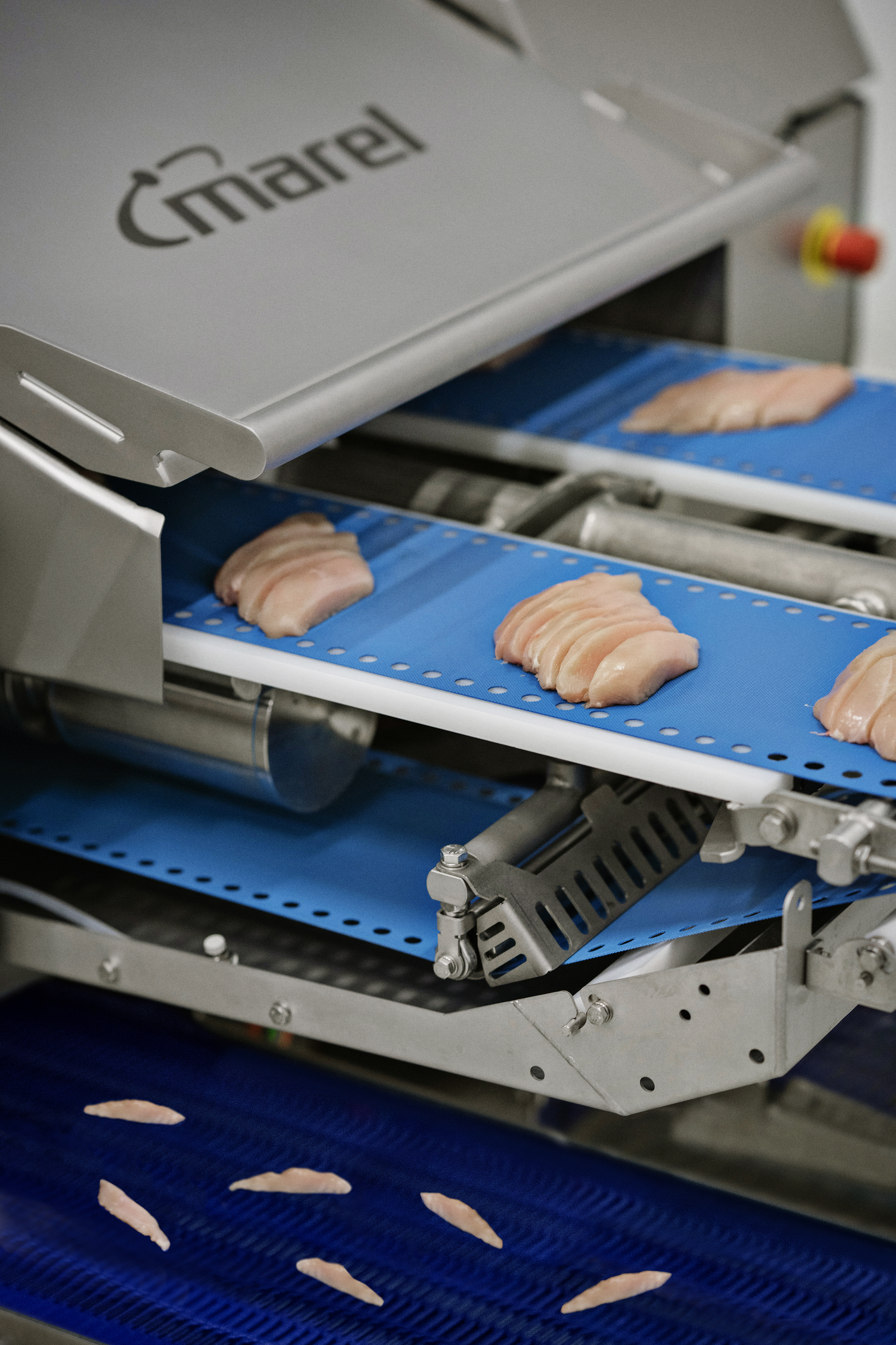 I-Cut 122 TrimSort poultry portion cutter