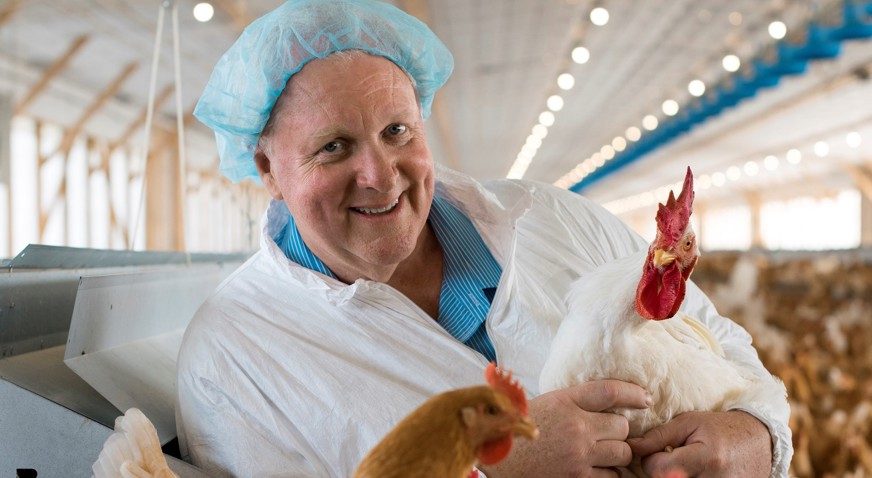 poultry traceability