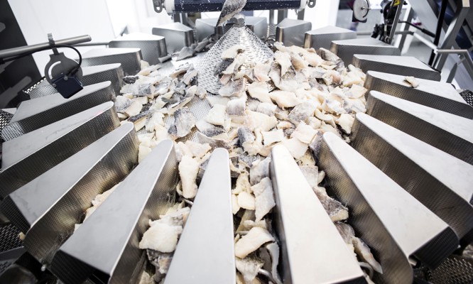 Báscula multicabezal