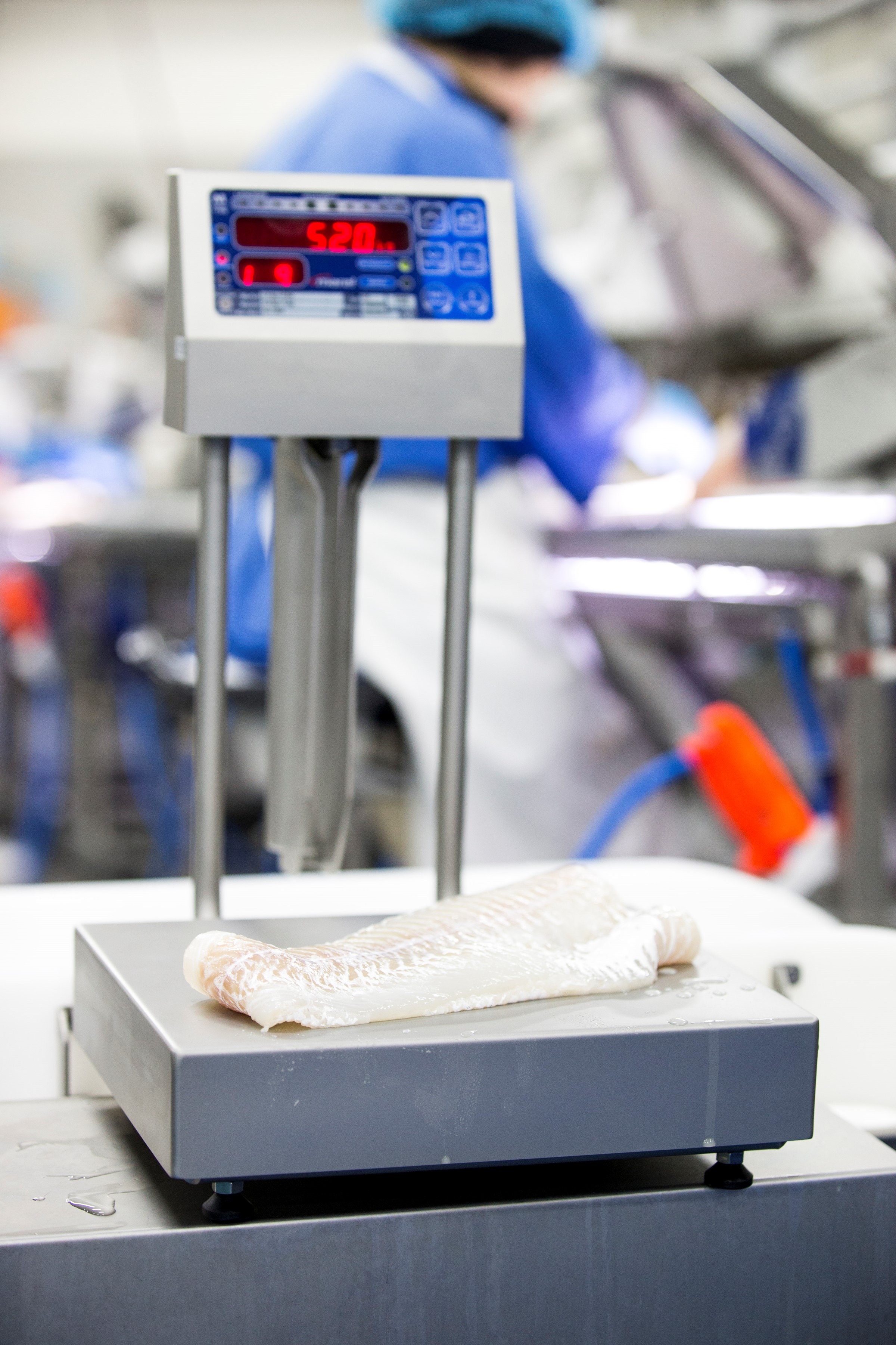 Weighing, grading and batching