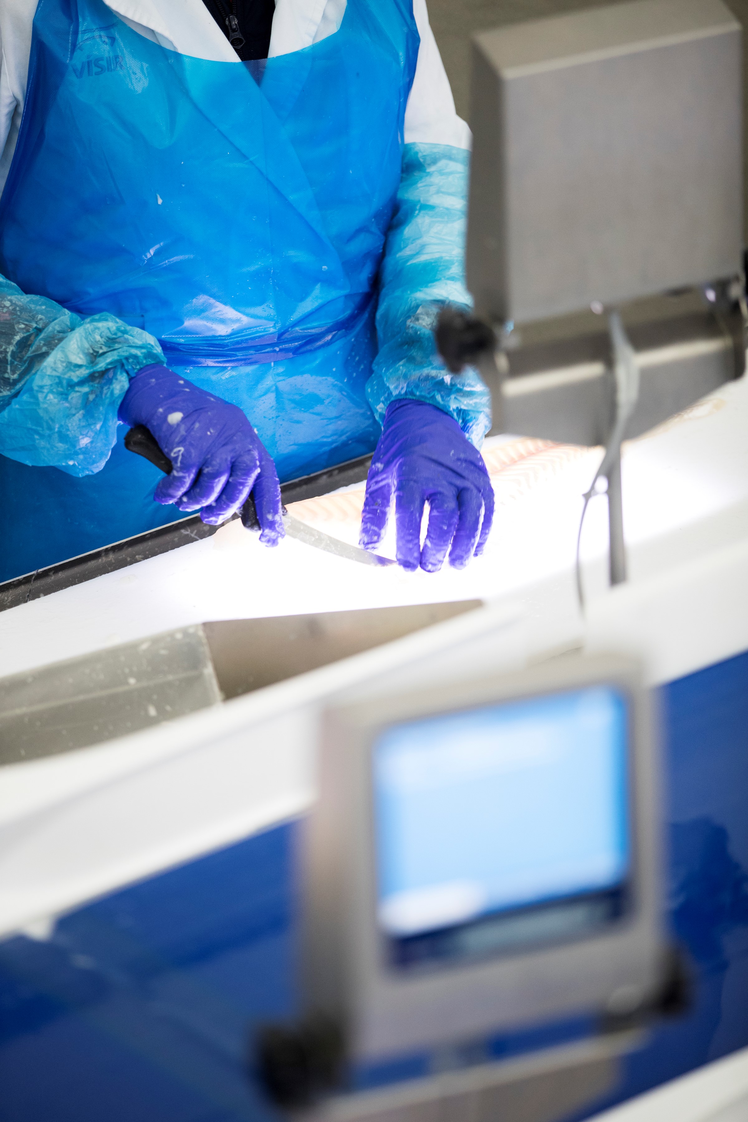 Trimming Solution Software