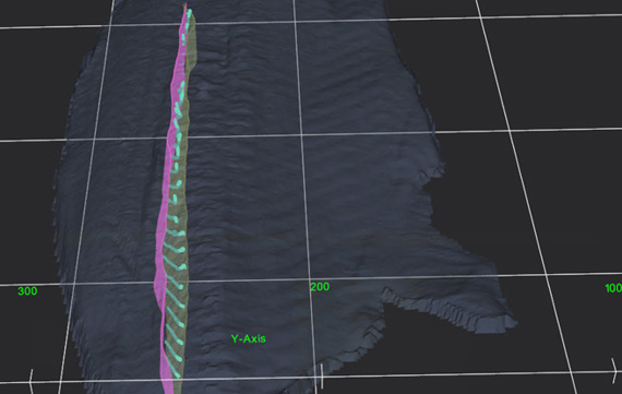 Flexicut Flexisort Valka Pinbone Scan