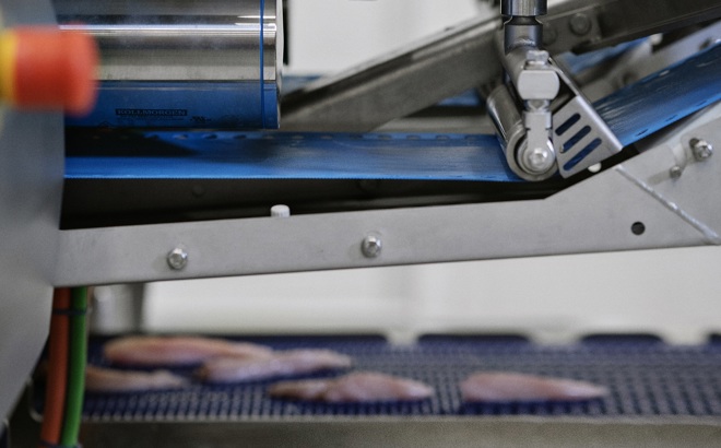 I-Cut 122 Trimsort Top Bottom Belts